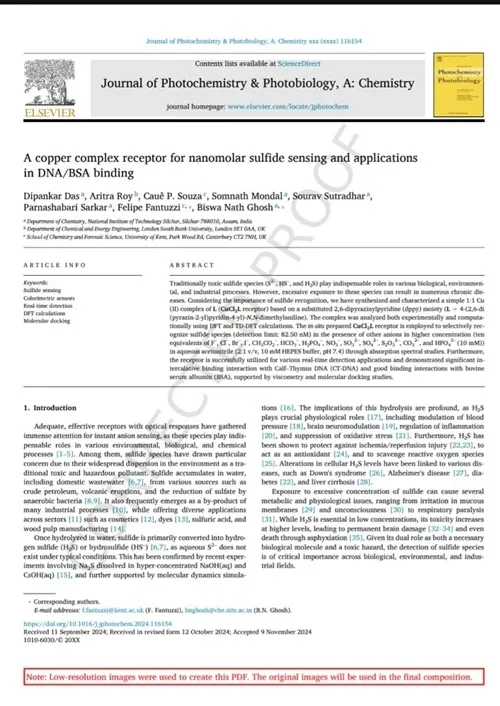 A copper complex receptor for nanomolar sulfide sensing and applications in DNA/BSA binding